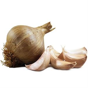 Garlic Farm Oak Smoked Garlic Bulb